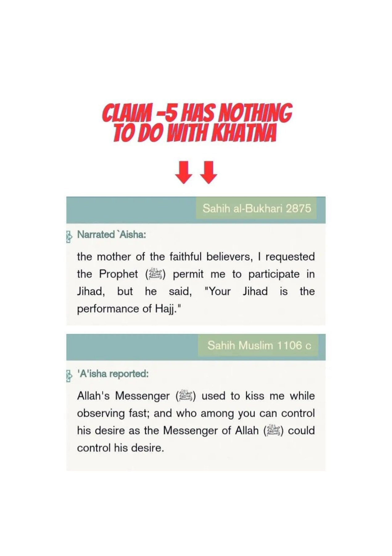 Islamophobes Nightmare pdf 762 2c86d90e34dfd0a8