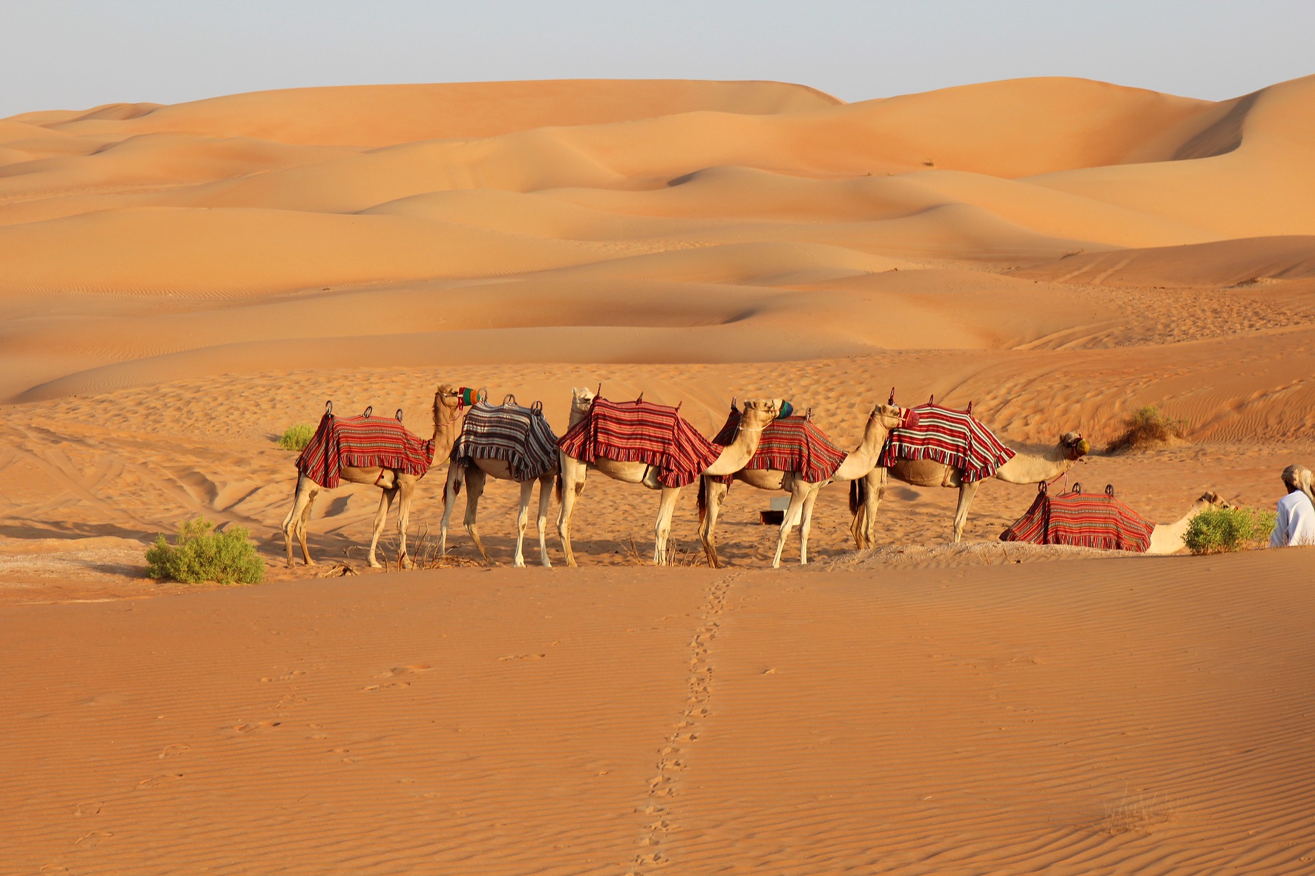 What Really Happened at the Badr Caravan beec85131f03602d