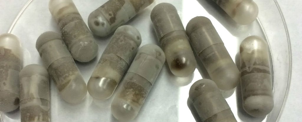 poop pills infections 1024 c79b15a22c6a852c