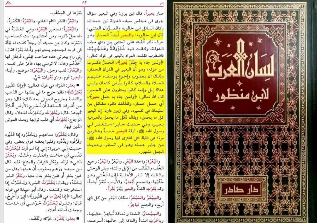 Al-Tha'labi's lexicographical analysis — recording that both the Yemeni dialect and the tribe of Asad used al-ba'eer to mean a donkey, with a classical poetic line as evidentiary proof