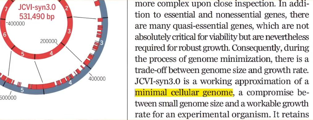debunking the myth that life originated by chance through serendipitous chemical reactions and res 5