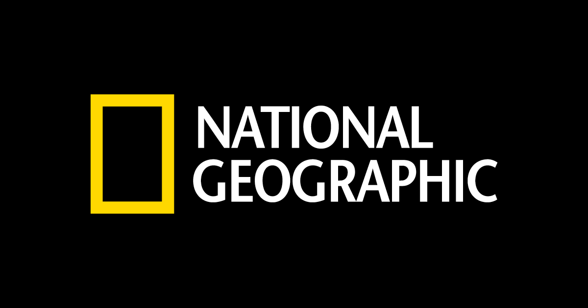 default.NG.logo.dark a88940eacf366f94