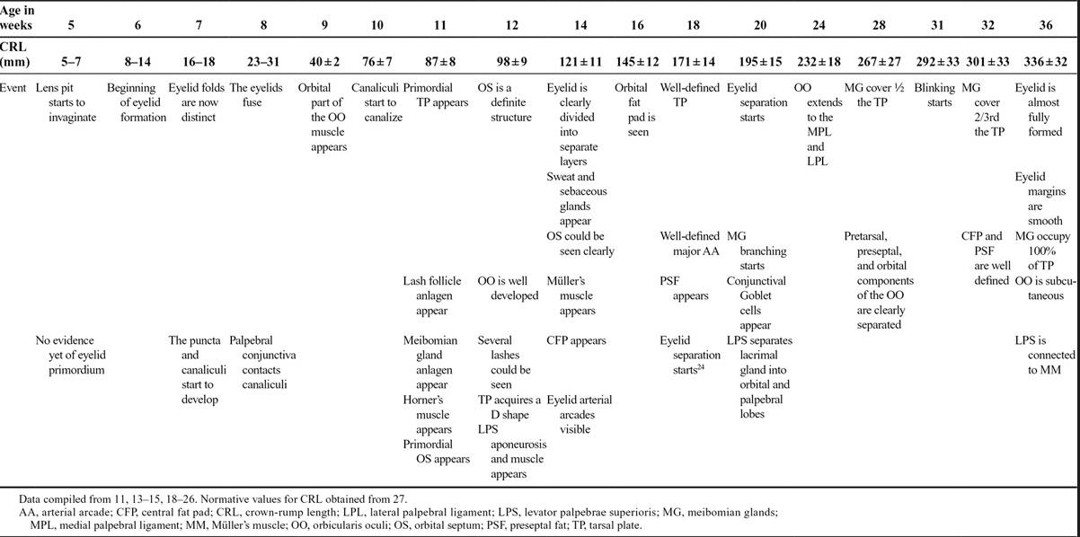 eyelid development timeline table