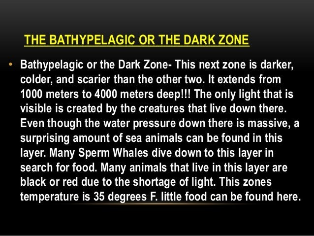 Deep ocean trench cross-section showing the hadopelagic zone at extreme depth