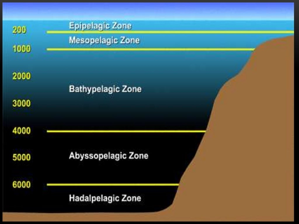 Marine depth zone infographic comparing the Quran's description to modern science