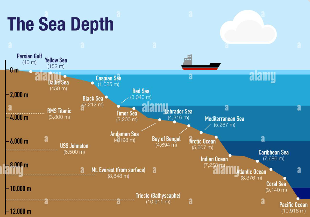 Scientific diagram of the pelagic zone divisions by depth and light availability