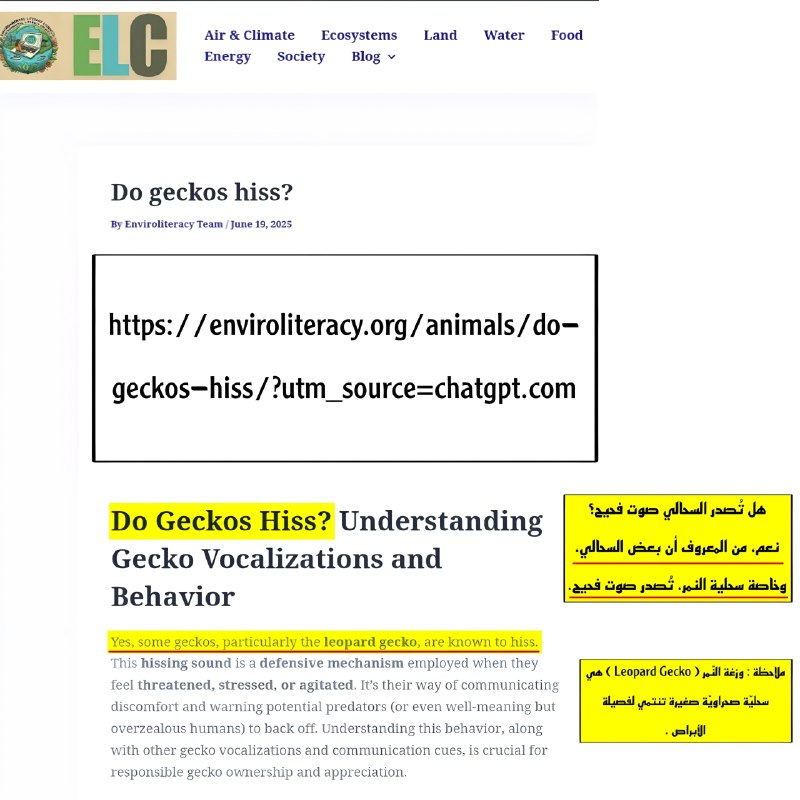 geckos are incapable of blowing 2