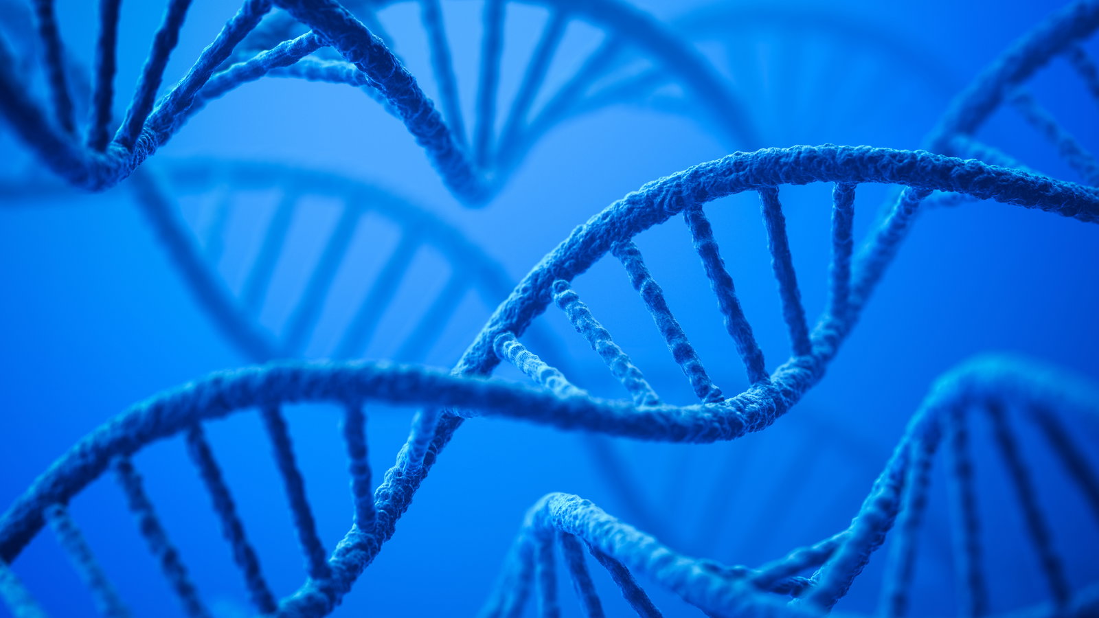 human gulo pseudogene evidence for evoluti a835fe40c96337b1