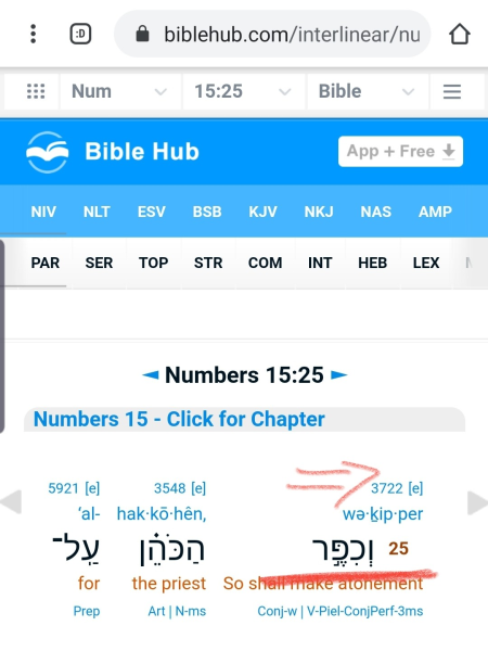 if jesus is god because he forgave sins then let the christian worship the jewish priest because he 2