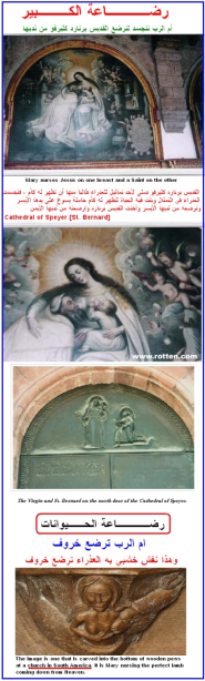 mother of god breastfeeds saint bernard and breastfeeds the animal