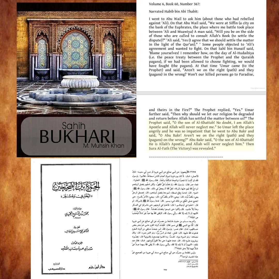 refuting.kufar 14040210 114835383 373f5eca1656790d