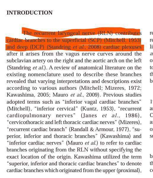 response to the evidence on the recurrent laryngeal nerve 1