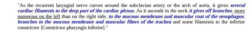 response to the evidence on the recurrent laryngeal nerve 2