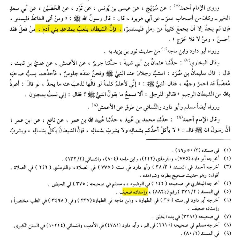 Musnad Ahmad — cover page for the volume containing the chain grading