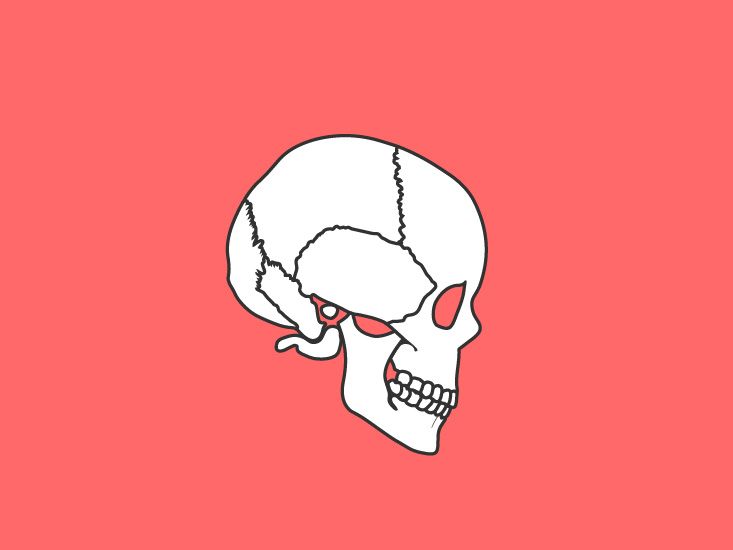 skeletal3 21 9150e664d9aea04f