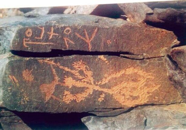 story of abrahas elephant and how the elephant traveled in the desert and can the elephant walk in 21