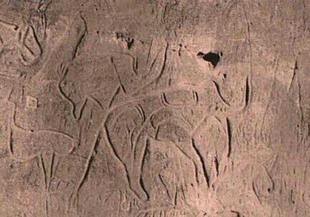 story of abrahas elephant and how the elephant traveled in the desert and can the elephant walk in 22