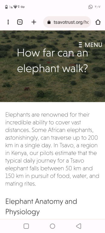 story of abrahas elephant and how the elephant traveled in the desert and can the elephant walk in 3