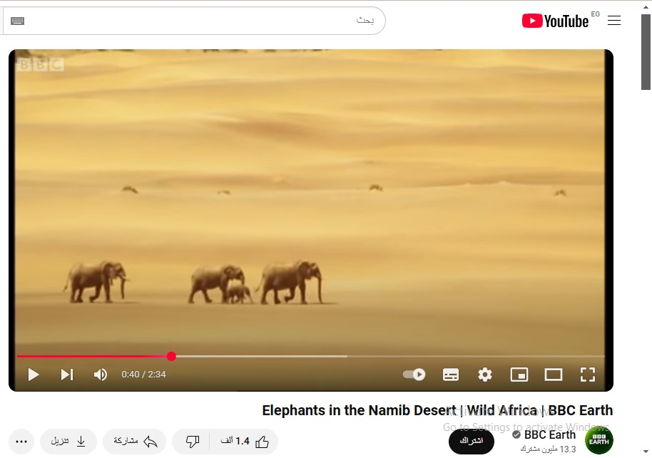 story of abrahas elephant and how the elephant traveled in the desert and can the elephant walk in 4
