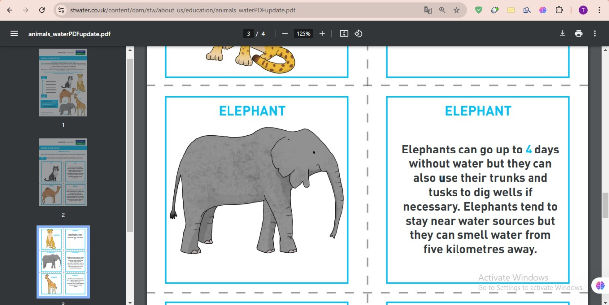 story of abrahas elephant and how the elephant traveled in the desert and can the elephant walk in 5