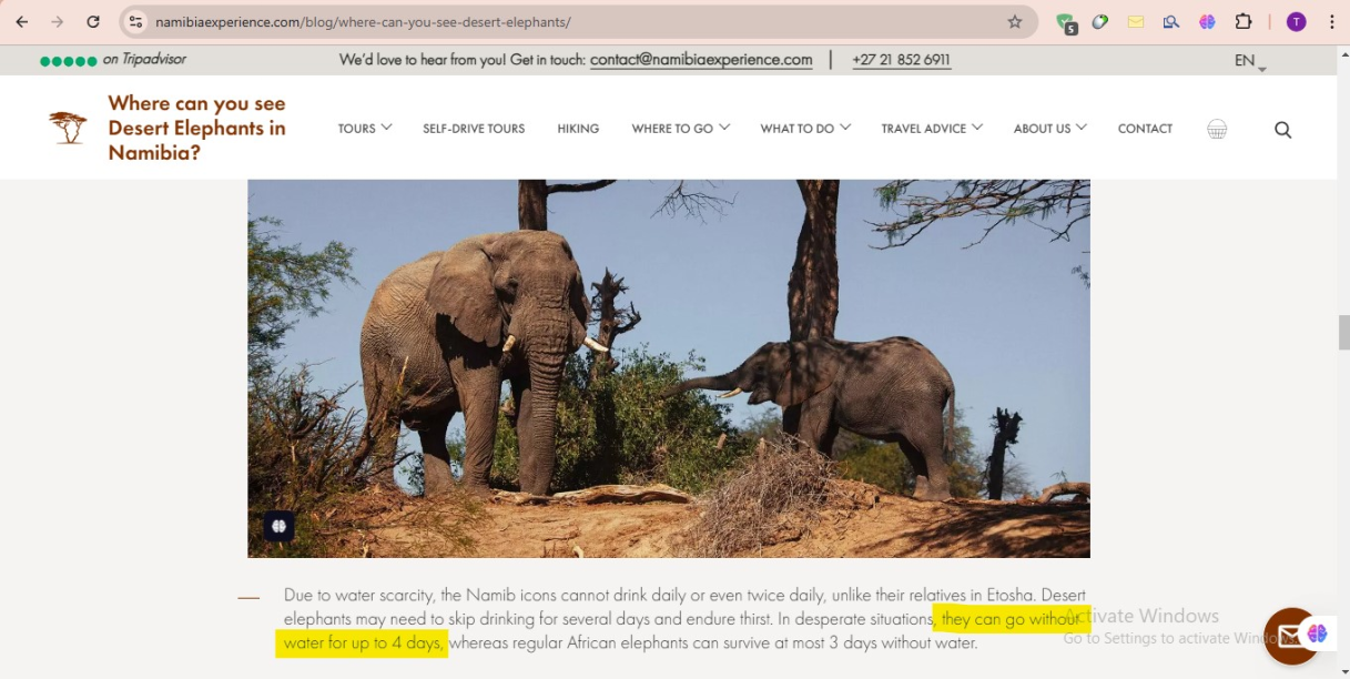 story of abrahas elephant and how the elephant traveled in the desert and can the elephant walk in 6