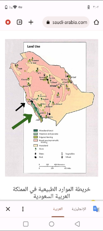 story of abrahas elephant and how the elephant traveled in the desert and can the elephant walk in 9