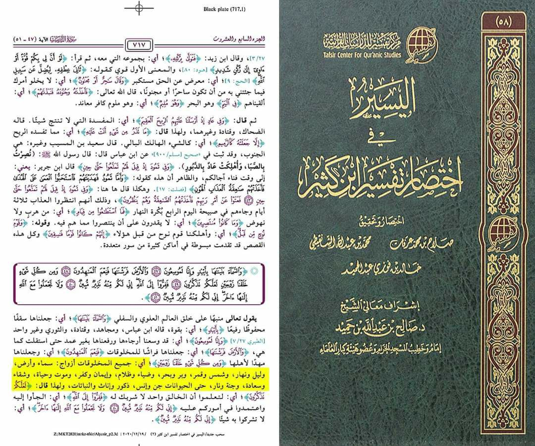 surah 51 49 we created you in pairs 3