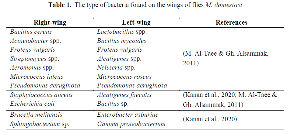 the miracle of the fly hadith scientific evidence