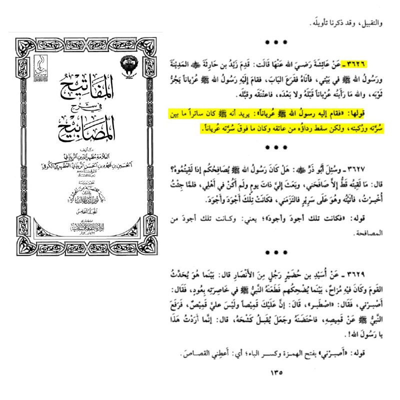 the prophet and zaid ibn haritha the nakedness hadith examined 19