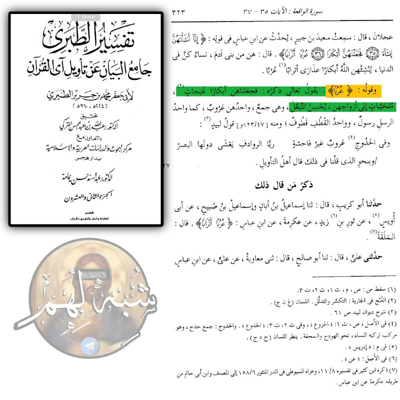 the response to the claim that arabs of equal age means whorea au3ruban atraba 18