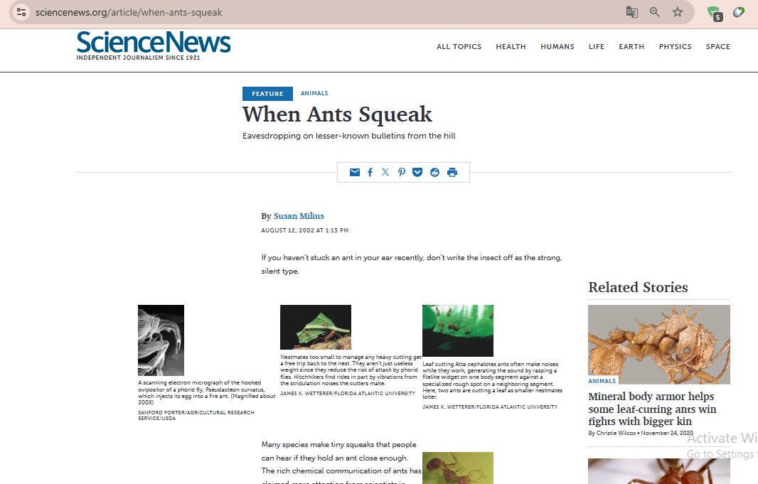 the response to the doubt about the ant conversation with solomon 1