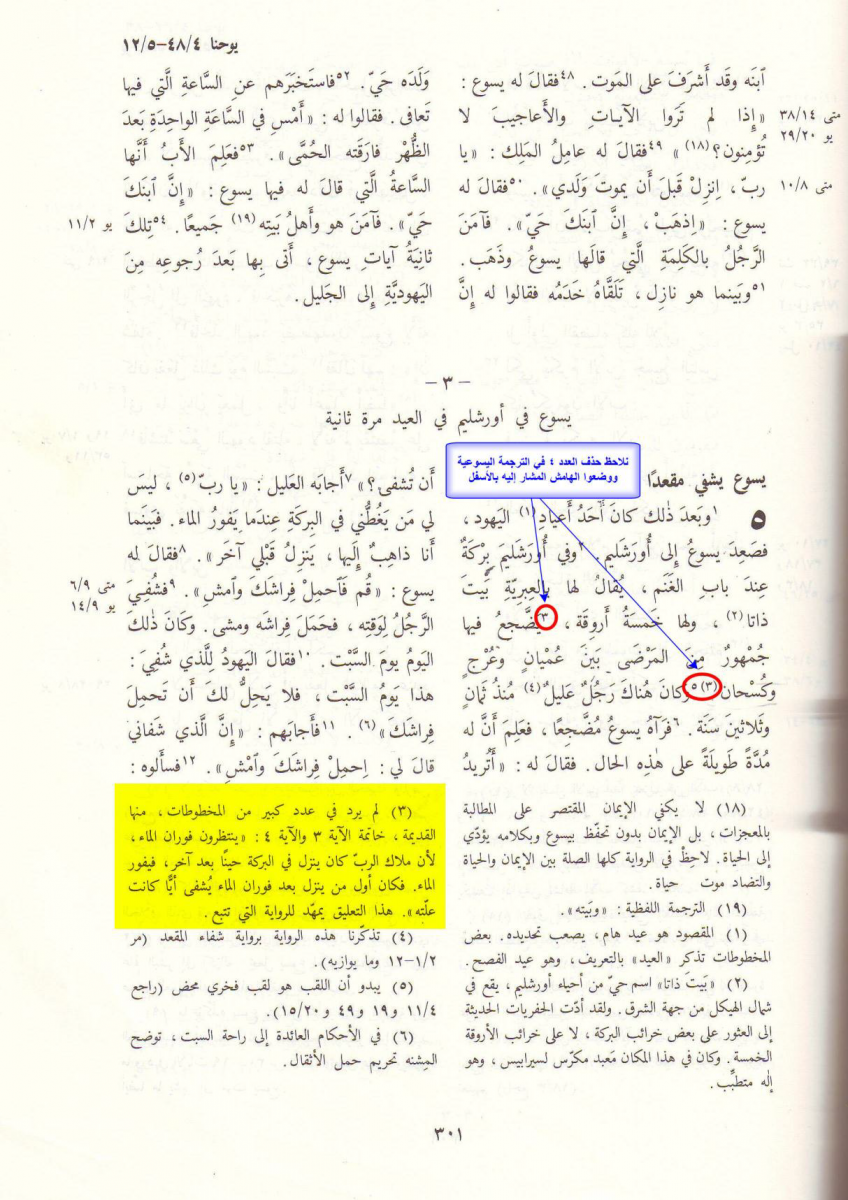 the story of the angel in the sinaiticus manuscript and the papal lie in response to pope shenouda 8