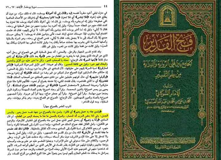 the suspicion of the camels mention in the time of joseph peace be upon him and the miracle 2