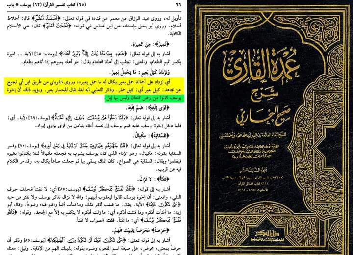the suspicion of the camels mention in the time of joseph peace be upon him and the miracle 3