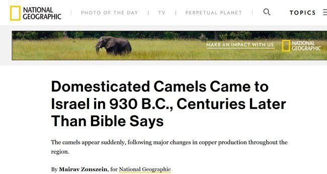the suspicion of the camels mention in the time of joseph peace be upon him and the miracle 4