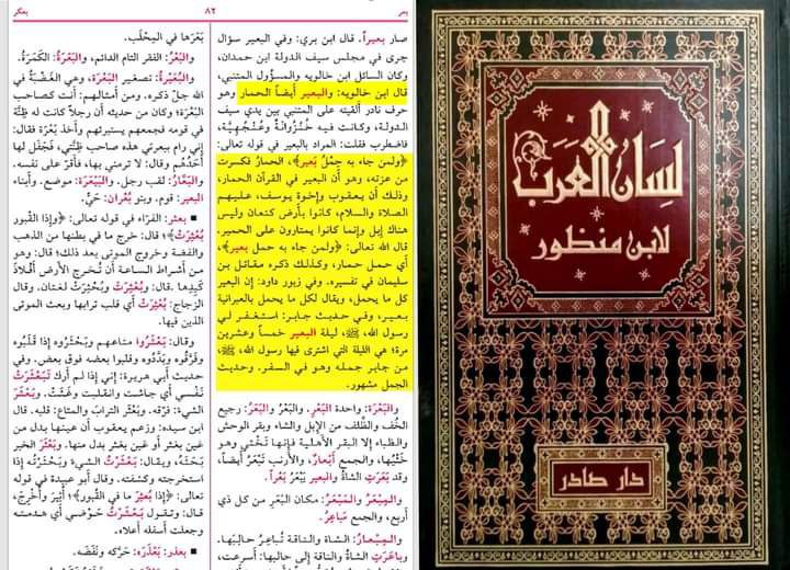 the suspicion of the camels mention in the time of joseph peace be upon him and the miracle