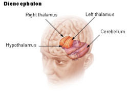 web image 1778602549416 8smlyg57xte
