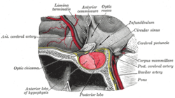 web image 1778602549419 dkkinwik13q
