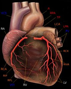 web image 1778602549423 vir4nejsub