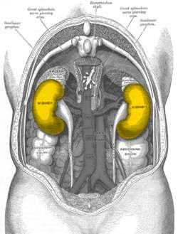 web image 1778602549425 tp0bnz9319