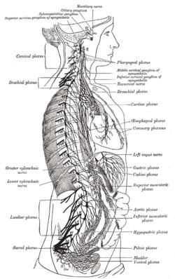 web image 1778602549428 w8g587affd