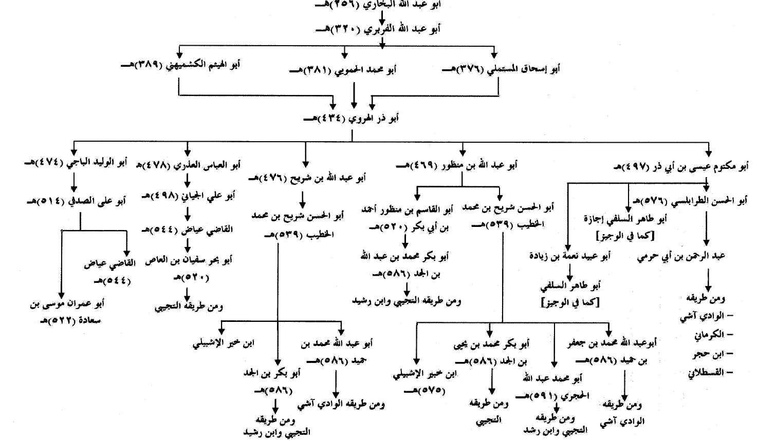 Transmission network diagram showing multiple parallel chains of Sahih al-Bukhari
