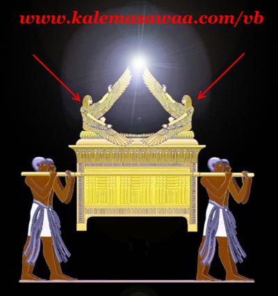 Pharaonic coffin — second image showing the winged cherubim structure predating the Ark of the Covenant
